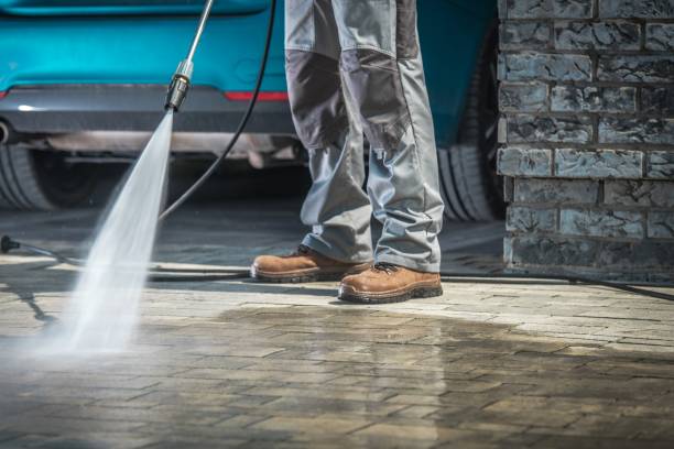 Best Animal Enclosure Cleaning  in River Hills, WI